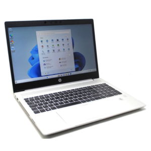 HP ProBook 450 G7 10th Gen Core i7 8GB RAM